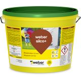 Weber Silcopinnoite+